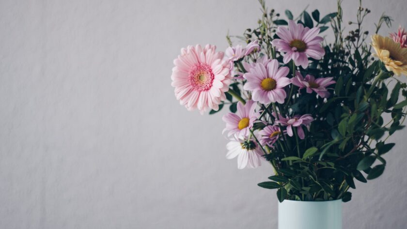 pink flowers in white vase