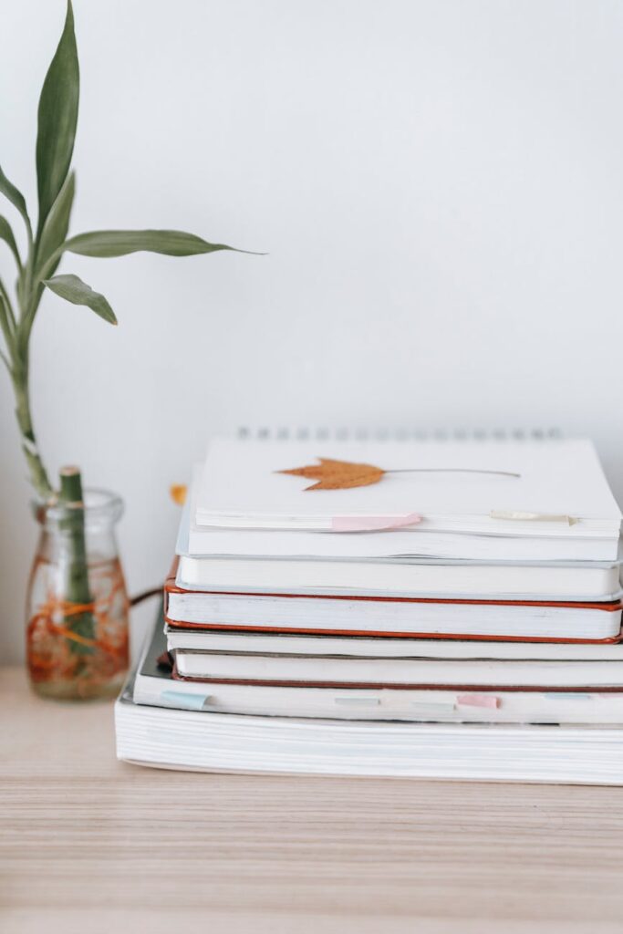 sprig of dracaena near pile of copybooks on table,  lucky bamboo, repotting lucky bamboo, new soil, good soil, sacrifice and uncertainty, new environment, trust God in times of uncertainty