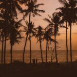 palms and tiny people against orange evening sky and sea, end of summer blues, summertime sadness, post summer blues