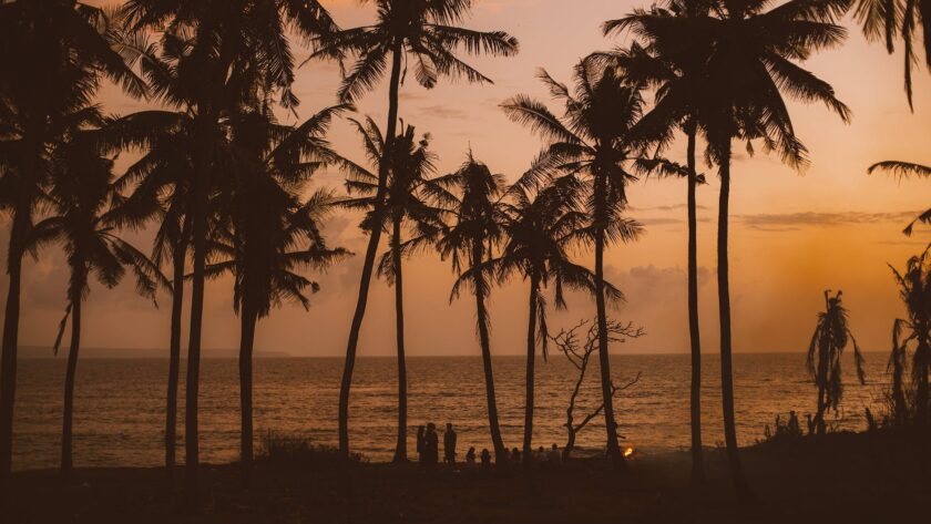 palms and tiny people against orange evening sky and sea, end of summer blues, summertime sadness, post summer blues