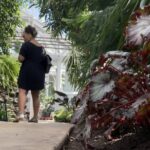 solo date, solo date activities, botanical garden, plant conservatory, solo date ideas, dating yourself